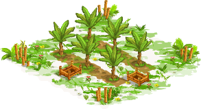 Banana orchard – Level 1