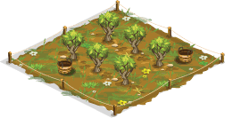Peach orchard – Level 1