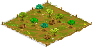 Citrus orchard – Level 1