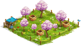 Efficient cherry orchard – Level 1
