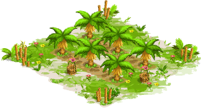 Coconut orchard – Level 1