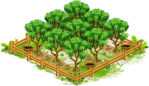 Mangový sad – Goodgame Big Farm