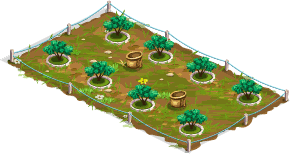 Champion's olive grove – Level 1