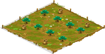 Olive grove – Level 1