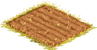 Island field – Level 1