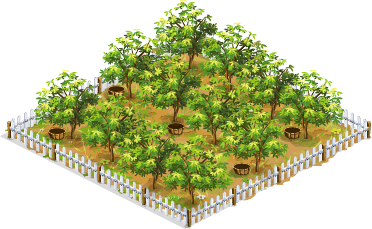 Cocoa tree orchard – Goodgame Big Farm