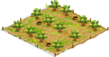 Cocoa tree orchard – Level 1