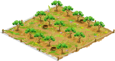 Sweet almond orchard – Level 1