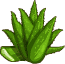 Aloe vera – Goodgame Big Farm