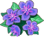Violets – Goodgame Big Farm
