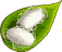 Silk – Goodgame Big Farm