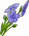Flax – Goodgame Big Farm