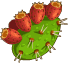 Prickly pears – Goodgame Big Farm