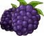 Blackberries – Goodgame Big Farm