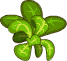Polníček – Goodgame Big Farm