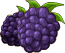 Premium blackberry seeds – Goodgame Big Farm