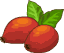 Premium rose hip seeds – Goodgame Big Farm