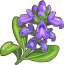 Sage – Goodgame Big Farm