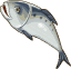 Sardines – Goodgame Big Farm
