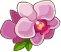 Semínka orchideje – Goodgame Big Farm