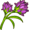 Alfalfa – Goodgame Big Farm