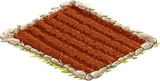 Ostrovní pole