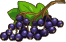 Bezinky