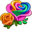 Rainbow roses