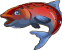 Losos královský
