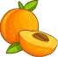 Osivo meruněk