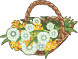 Pampeliška